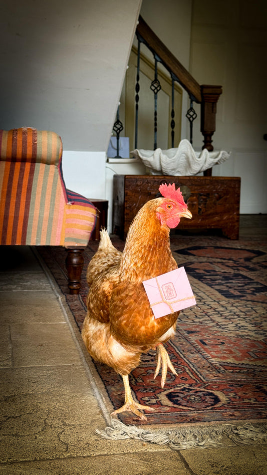 Chicken holding a piece of paper in a room with furniture and decor.